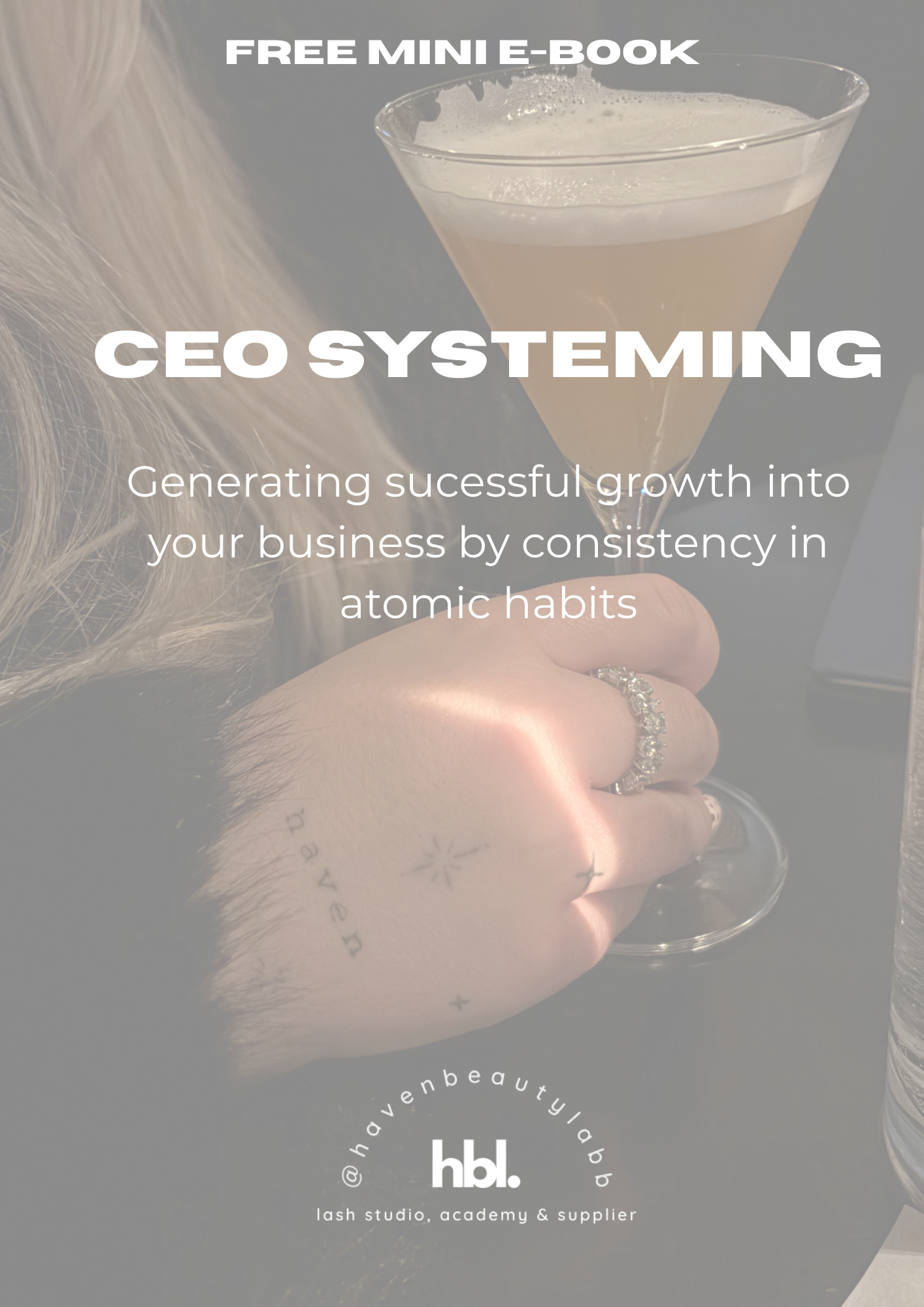 CEO SYSTEMING